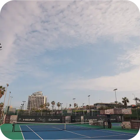 השכרת מגרשי פאדל הרצליה